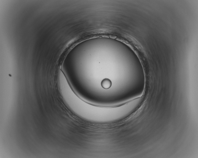 X0000112831210200909041456