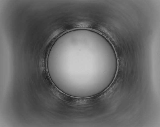 X0000112831211200909041456