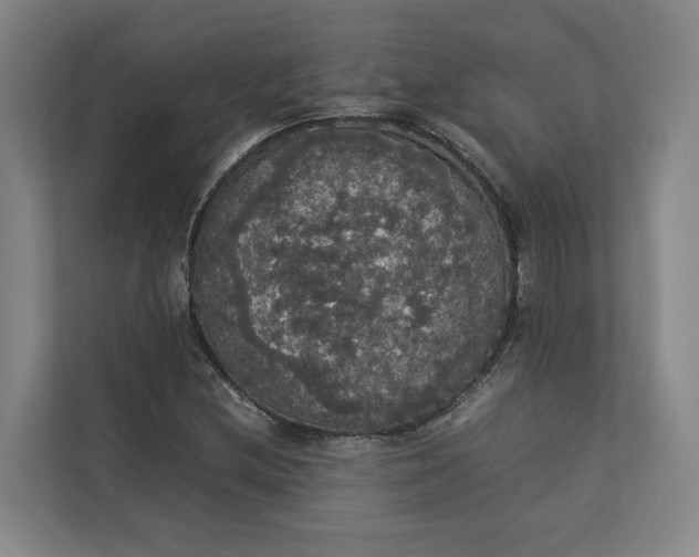 X0000112831212200909041456