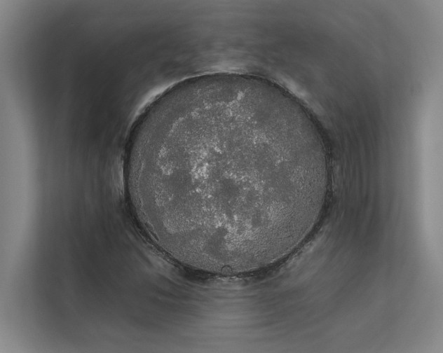 X0000112831214200909041456