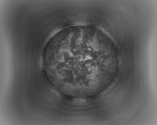 X0000112831215200909041456