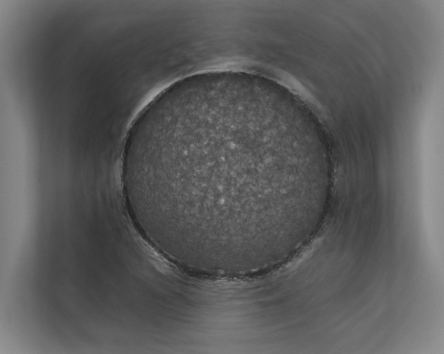 X0000112831216200909041456