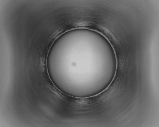 X0000112831217200909041456