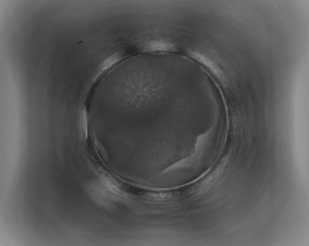 X0000112831219200909041456