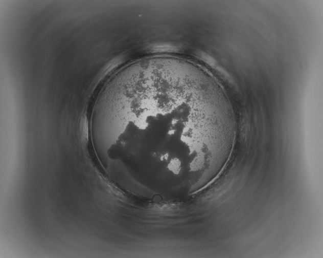 X0000112831221200909041456