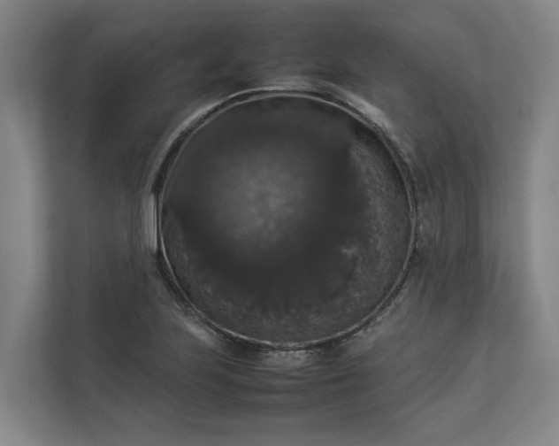 X0000112831223200909041456