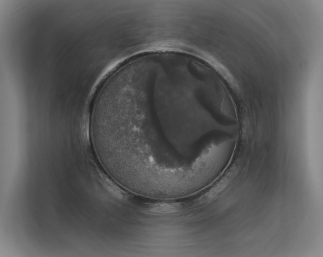 X0000112831224200909041456