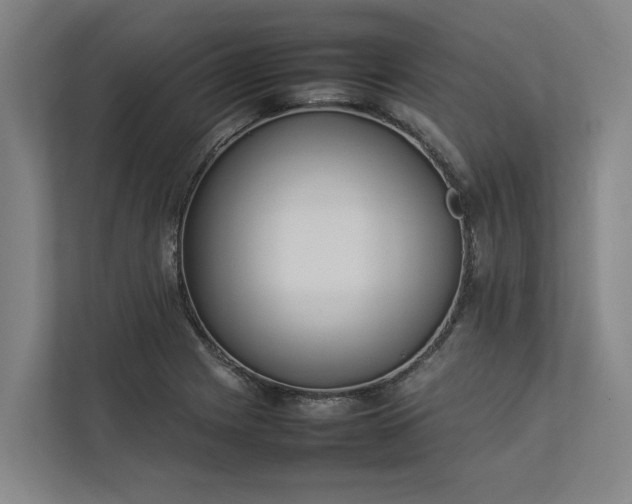 X0000112831225200909041456