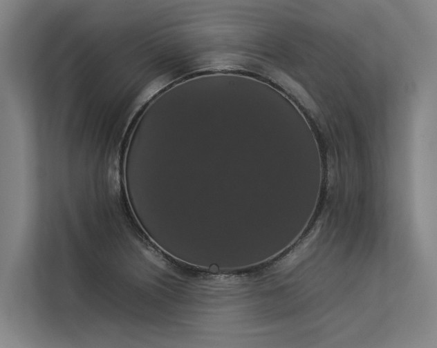 X0000112831226200909041456