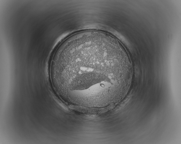 X0000112831230200909041456