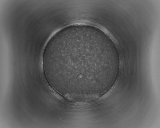 X0000112831232200909041456