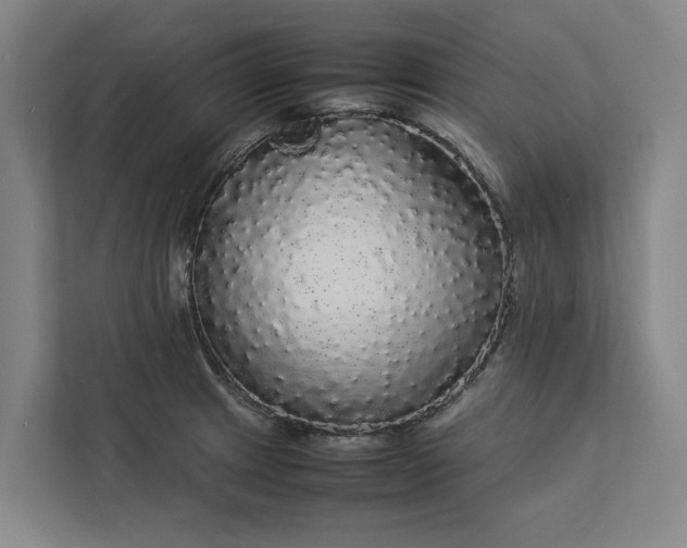 X0000112831233200909041456