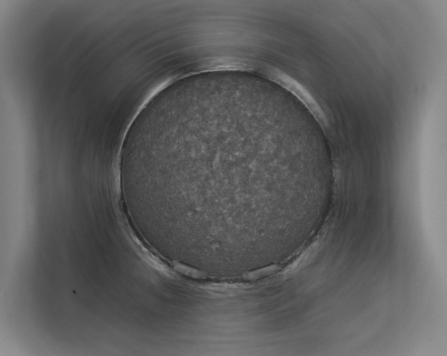 X0000112831236200909041456