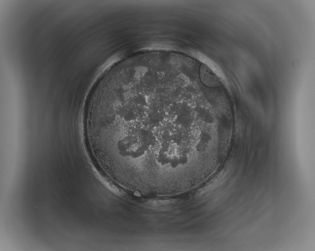 X0000112831237200909041456