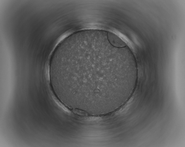 X0000112831238200909041456