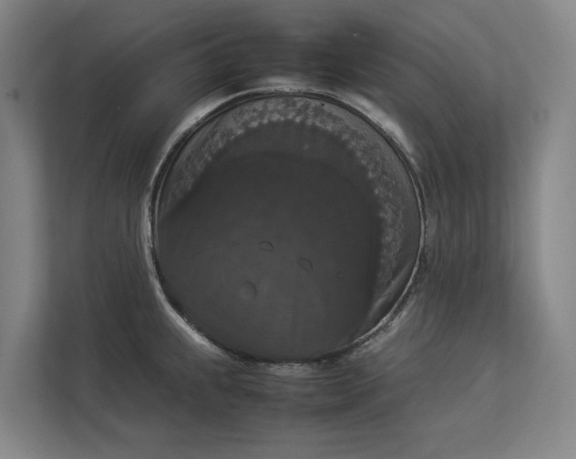 X0000112831239200909041456