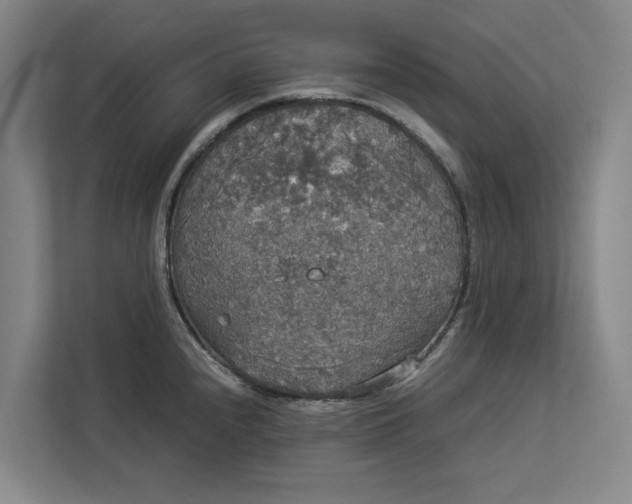 X0000112831240200909041456