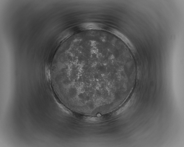 X0000112831241200909041456