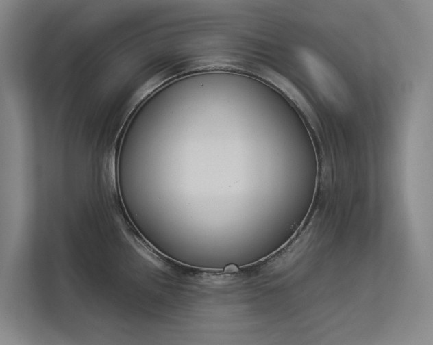 X0000112831242200909041456