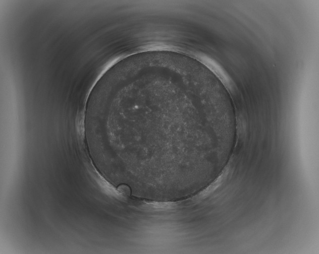 X0000112831244200909041456