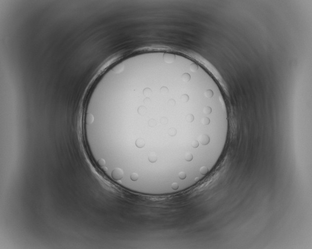 X0000112831245200909041456