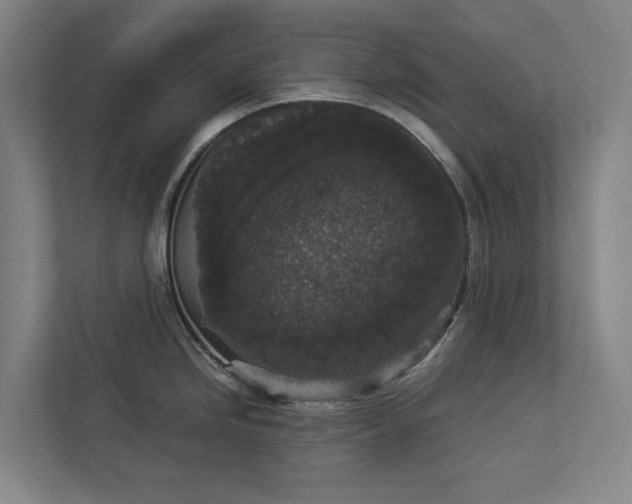 X0000112831246200909041456