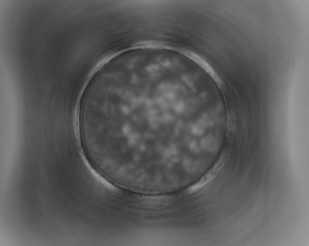 X0000112831247200909041456