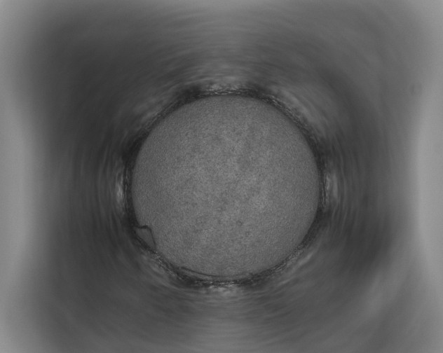 X0000112831250200909041456