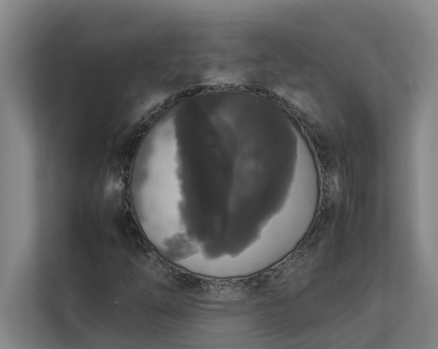 X0000112831254200909041456