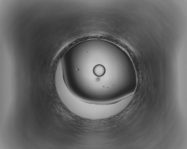 X0000112831256200909041455