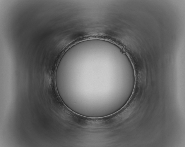 X0000112831257200909041455