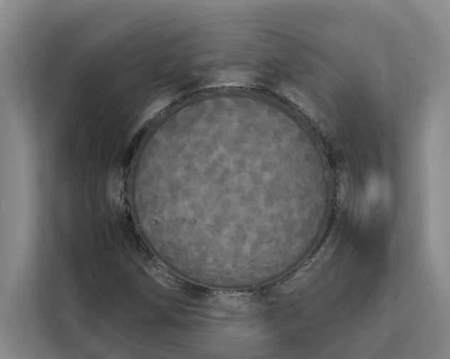 X0000112831258200909041455