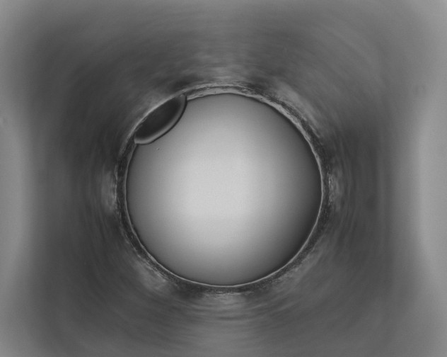 X0000112831260200909041455