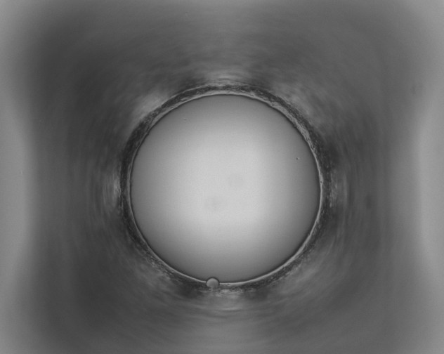 X0000112831261200909041455