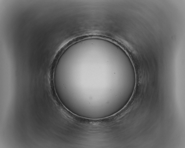 X0000112831264200909041455