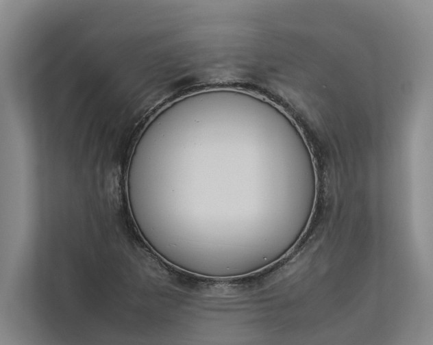 X0000112831265200909041455