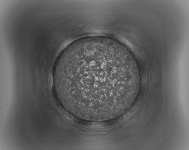 X0000112831267200909041455