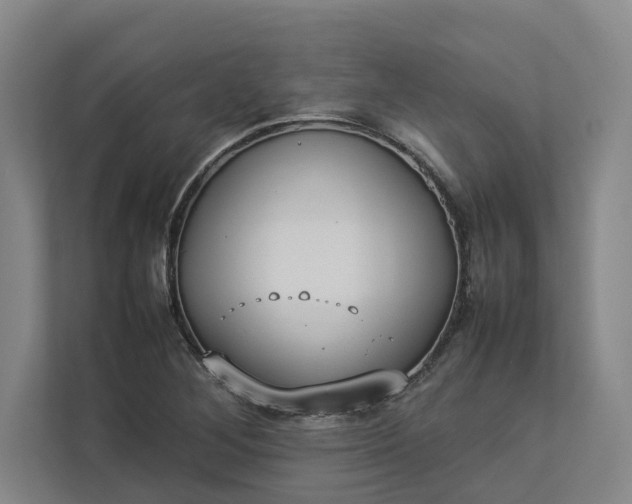 X0000112831268200909041455