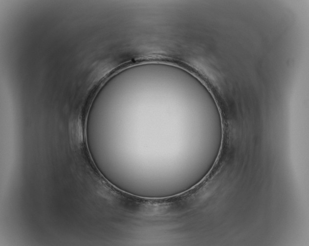 X0000112831269200909041455