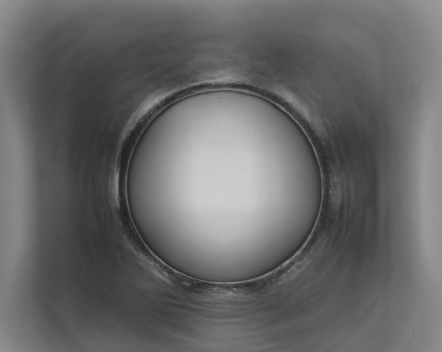 X0000112831270200909041455