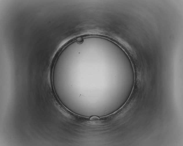 X0000112831272200909041455