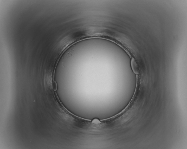 X0000112831273200909041455