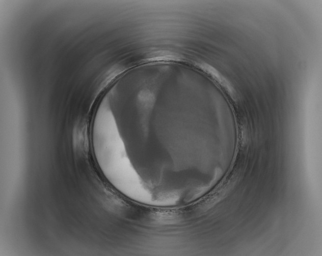 X0000112831274200909041455