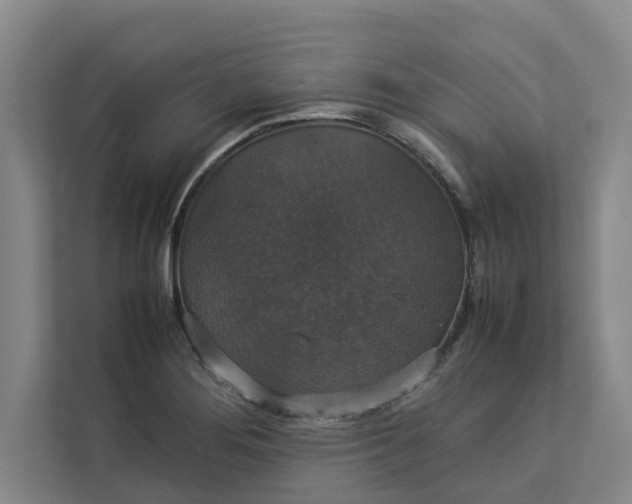 X0000112831276200909041455