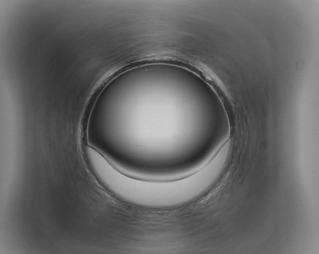 X0000112831277200909041455