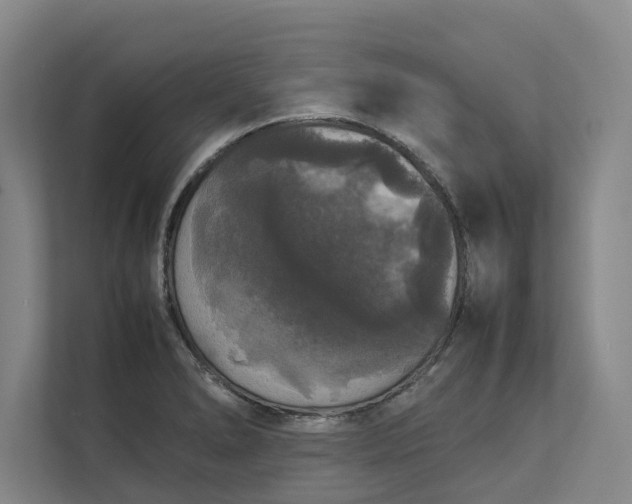 X0000112831278200909041455