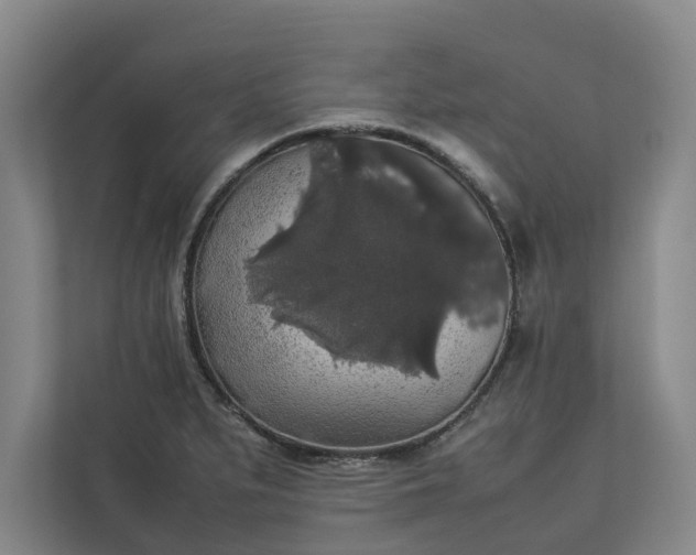 X0000112831279200909041455