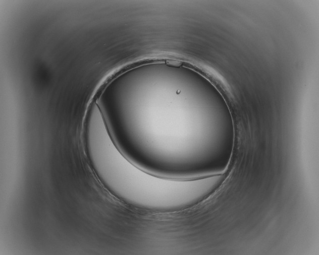 X0000112831280200909041455