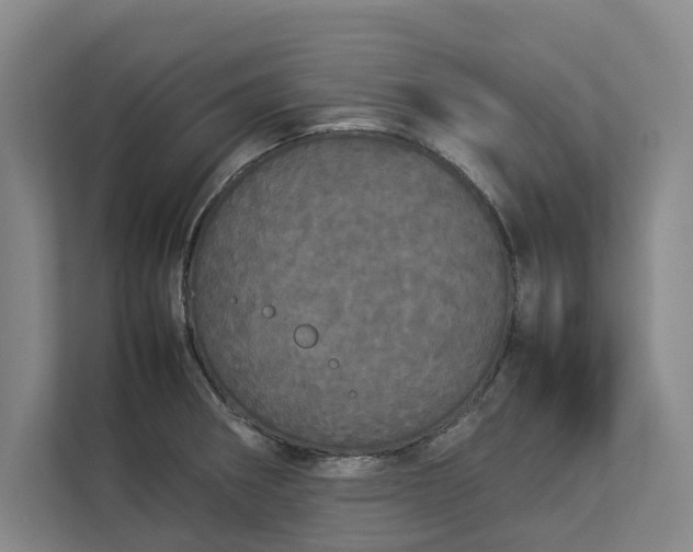 X0000112831282200909041455