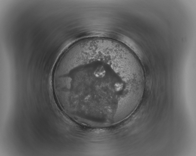 X0000112831283200909041455